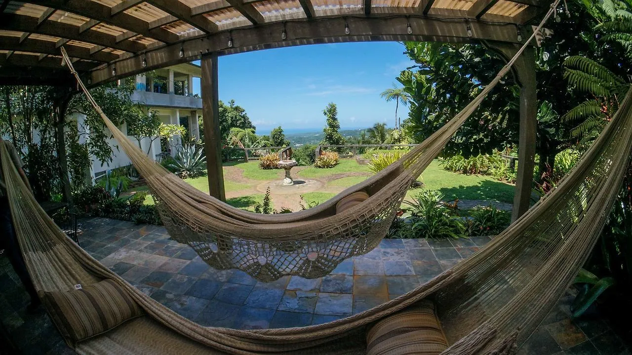 לינה וארוחת בוקר ריו גראנדה El Yunque Rainforest Inn