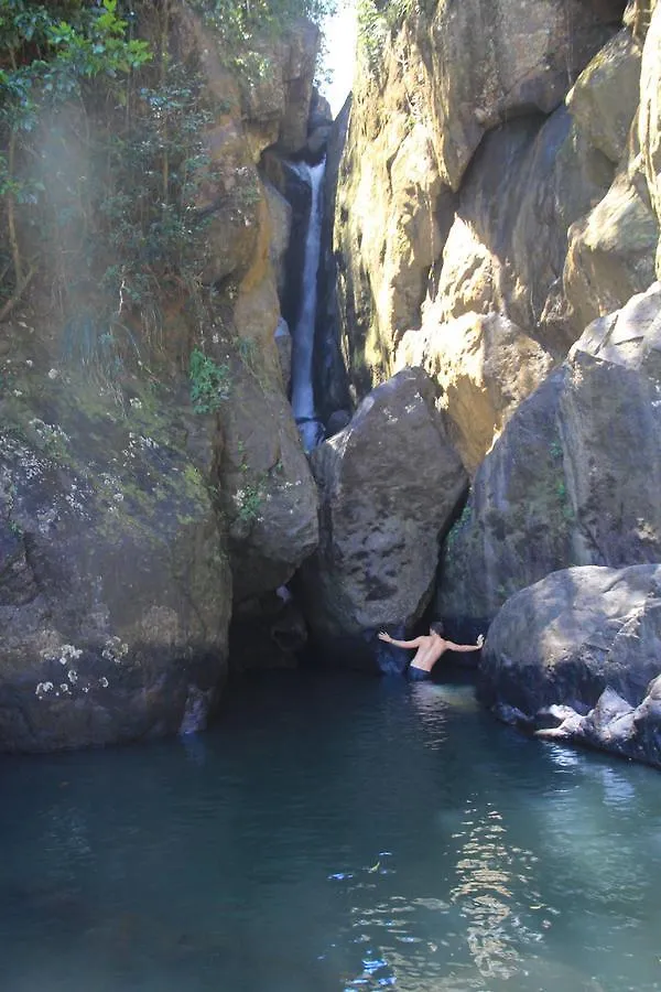 فندق مبيت وإفطار ريو غراندي El Yunque Rainforest Inn