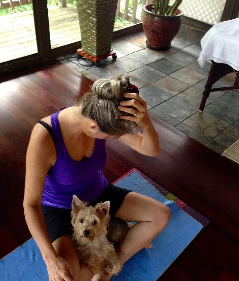 Bed & Breakfast El Yunque Rainforest Inn Rio Grande