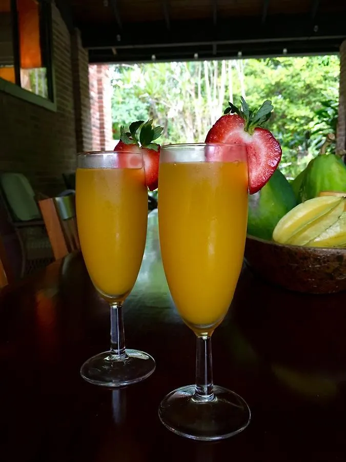 فندق مبيت وإفطار ريو غراندي El Yunque Rainforest Inn